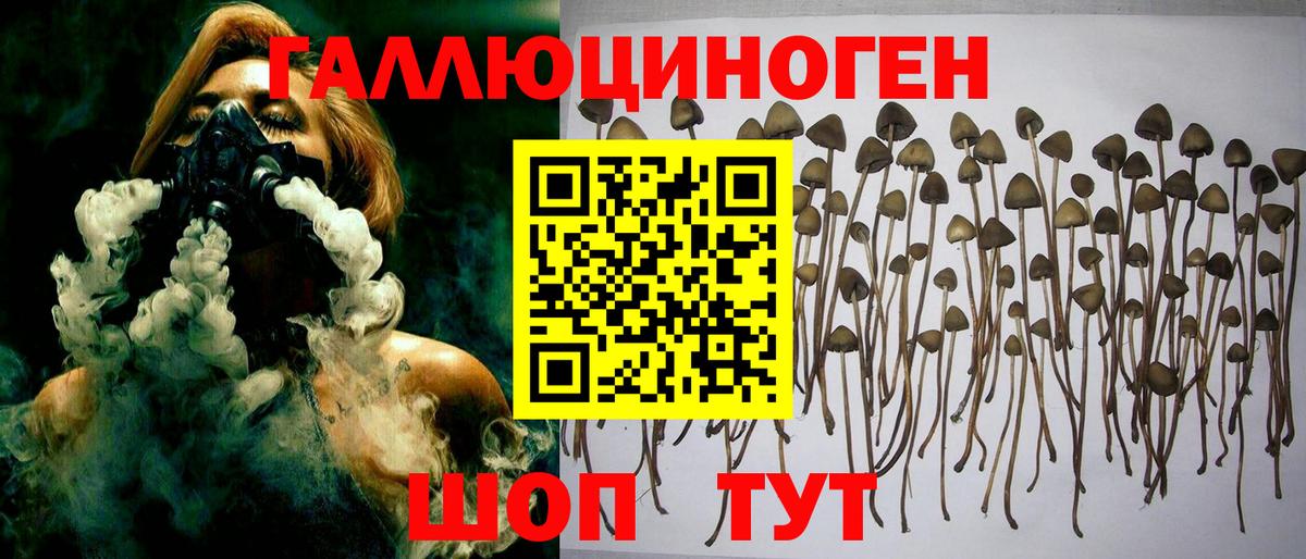 Галлюциногенные грибы прущие грибы Добрянка