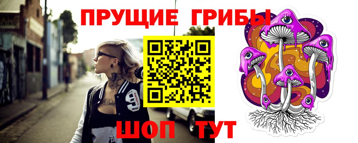 Псилоцибиновые грибы Psilocybe  Вход с VPN  Галлюциногенные грибы ЛСД  Добрянка 